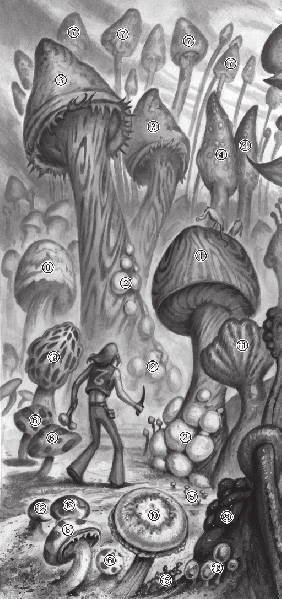 File:MushroomForestKey.gif